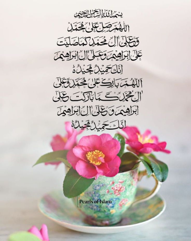 naheed__gul's tweet photo. https://t.co/QQ1vKp0sjm