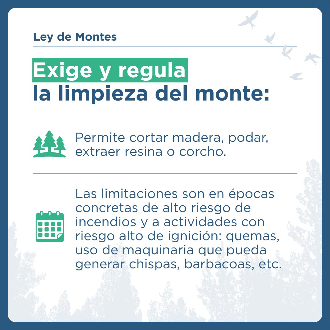 desdelamoncloa's tweet photo. 🌳 La Ley de Montes contribuye a la conservación de la biodiversidad, la lucha contra los incendios forestales y el cambio climático y al aprovechamiento económico de los recursos forestales:

En ella se exige y regula la limpieza del monte 👇🏻 https://t.co/KsjxleTcMr