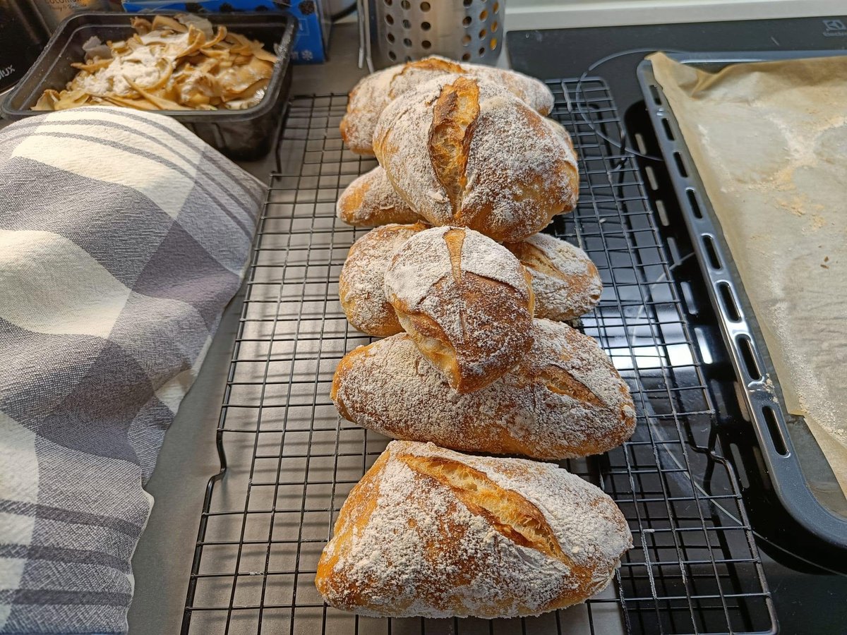 HilpoJuhana's tweet photo. Barley Ciabattas
Here's the baked version of the other half of my barley dough.😊
Hydration: 80%.
The dough is cold-proofed overnight in the refrigerator at +5 to +6 °C (41–43 °F).
1/8
#sourdough #hapanjuuri #ciabatta #ohraleipä #barleybread #homebaking https://t.co/vUzttHjzgo