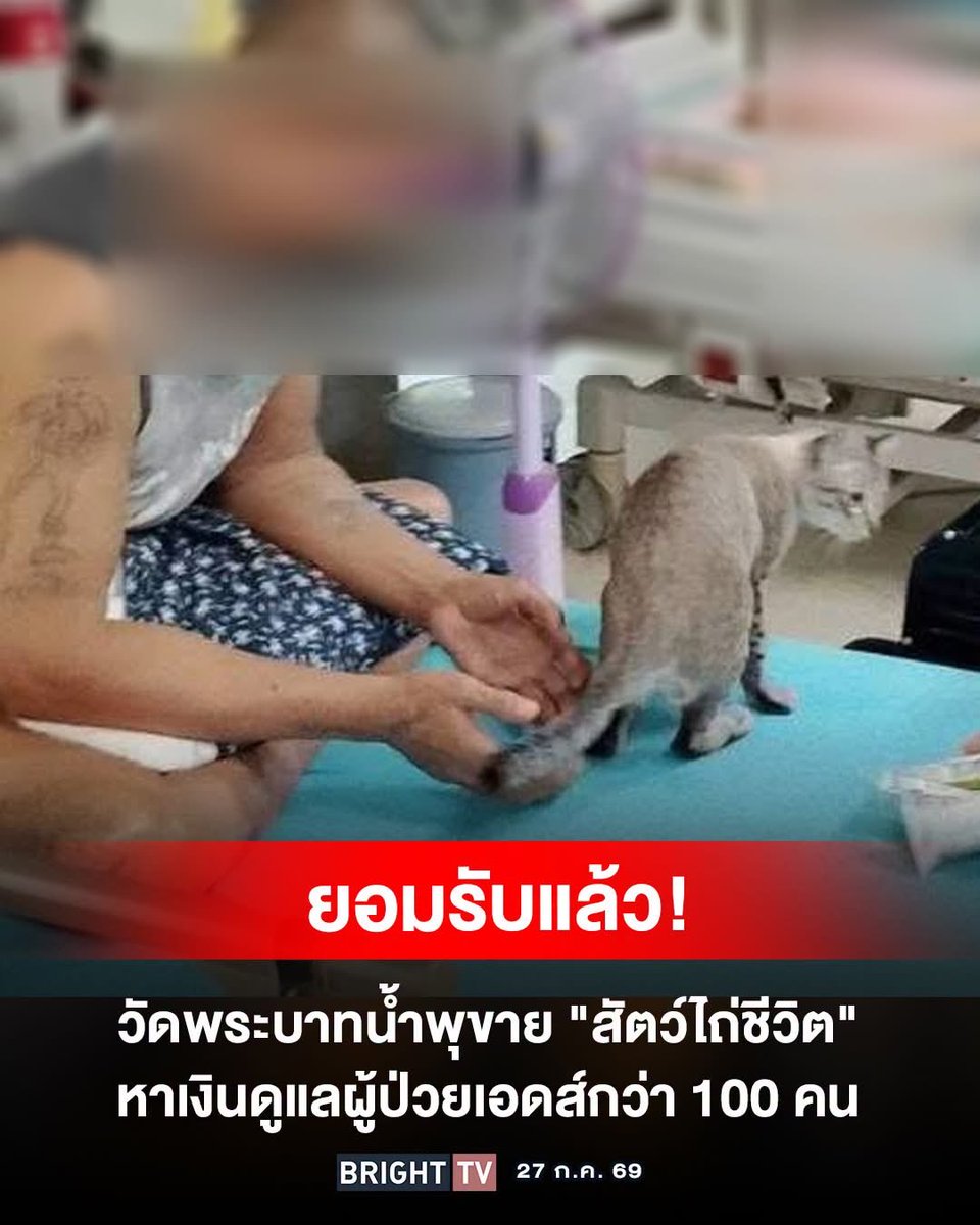 Toonee8008's tweet photo. อ่าว😱 https://t.co/NveAXwxZtM