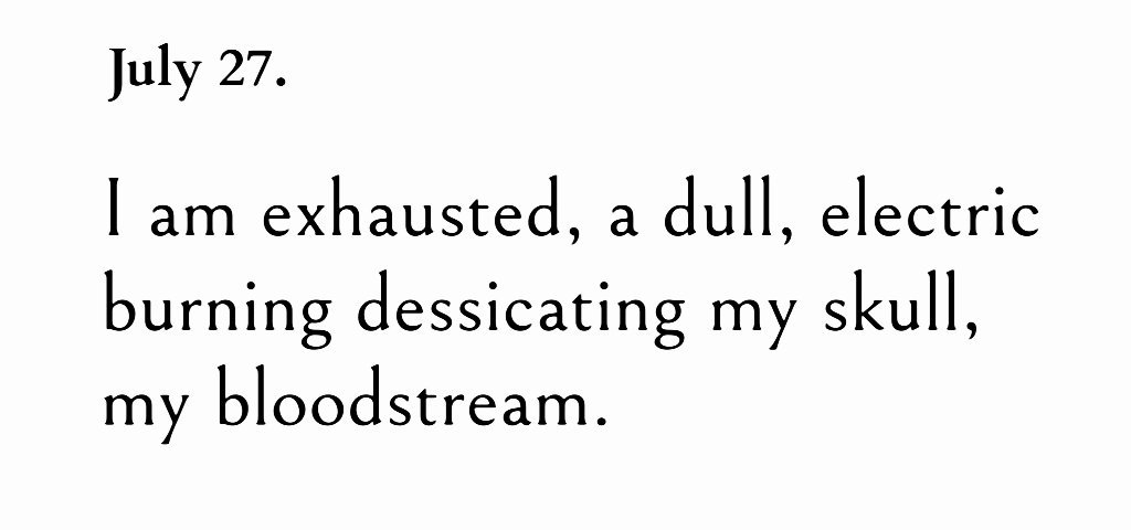 NostosLit's tweet photo. ― Sylvia Plath, The Unabridged Journals https://t.co/H5fyMnXSk9
