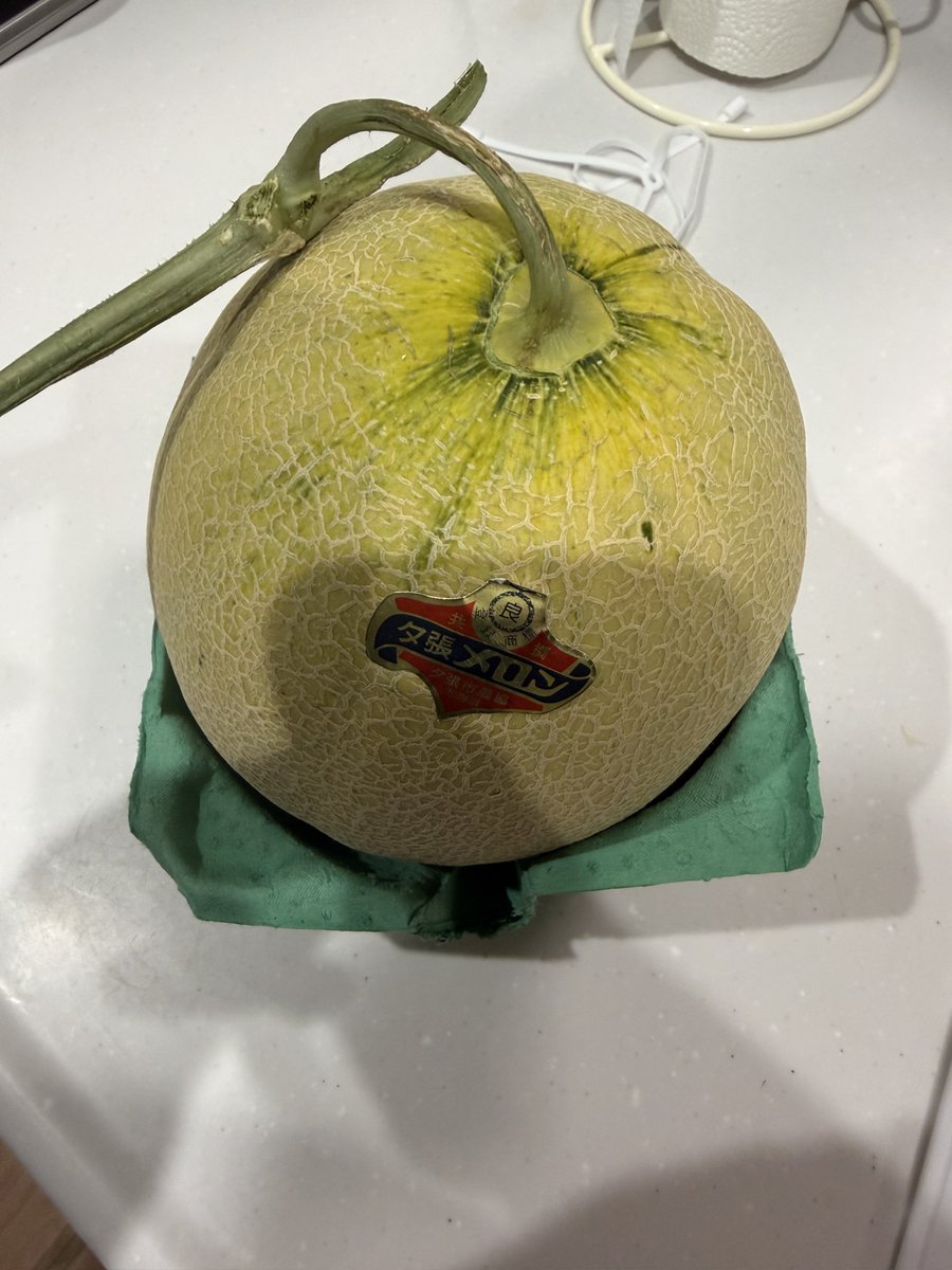 masa_spla's tweet photo. 生きてます！

最近、仕事中に熱中症になりましたが、川遊びしたり近江牛ランチ食べ放題に行ったりばぁちゃんから夕張メロン貰ったので食べたりしてました🙋‍♂️ https://t.co/UrZmN066n3