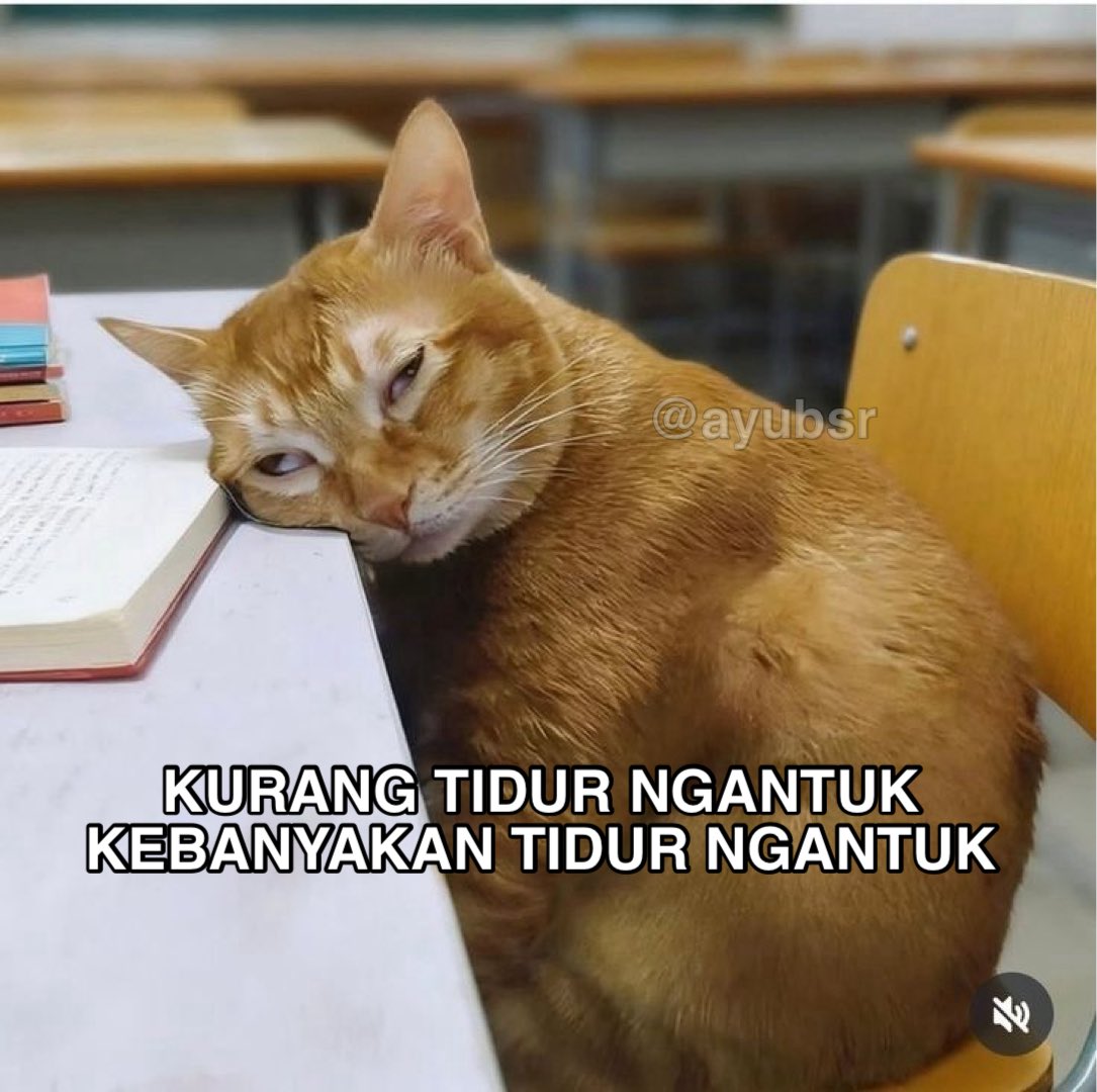 ayubsr's tweet photo. https://t.co/BjMmLJVuxF