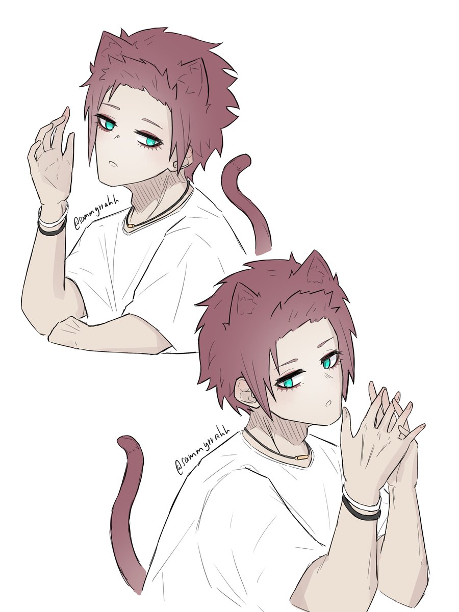 sammyrrahh's tweet photo. saesagi catto #bllk #seis  /ᐠ - ˕ -マ Ⳋ  ฅ₍^•⩊ •マⳊ https://t.co/m5hAhohZbo