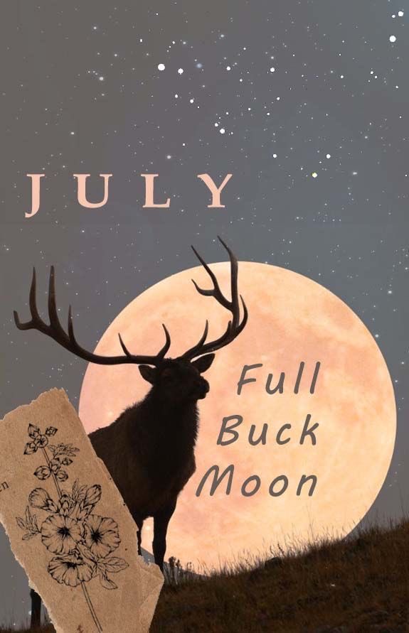 Biznitch1177's tweet photo. Full moon Wednesday~ 
July 29 10:36 am
Grab your fenben, Ivr or whatever works for you ~ https://t.co/MQBY8N0s1Y