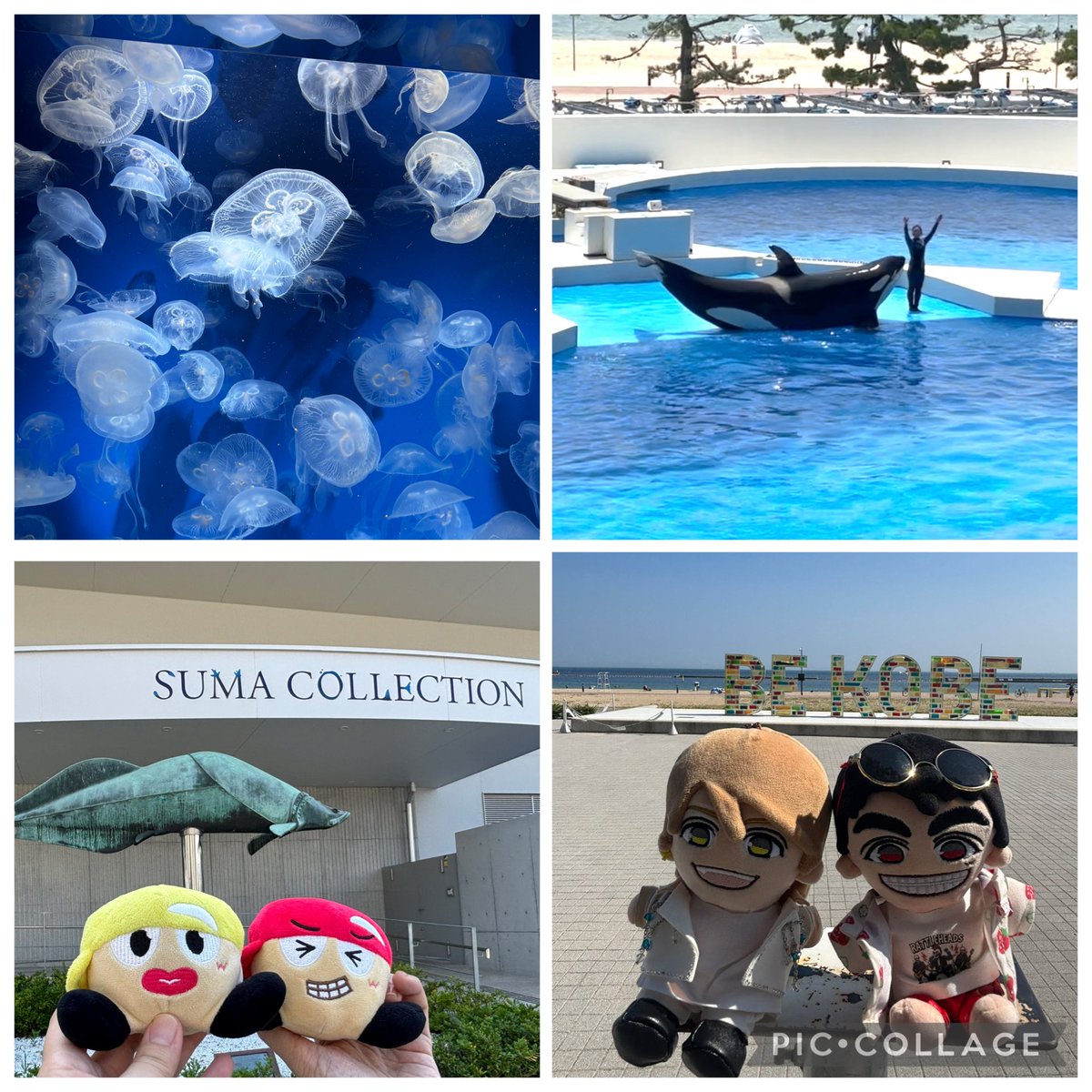 junka_junjun's tweet photo. 24日にお友達と須磨シーワールド🐬とリア突海の家🏖へ

イルカもアシカもアザラシも可愛かったな☺️オルカショーは濡れそうなくらい近いとこで観れた！
また今度ゆっくり観に行きたいー

この日、海の家では体験せずお写真メインで満喫。
写真撮ったりメッセージ書いたり楽しかった！

#リア突海の家 https://t.co/PLeqsyd4CV