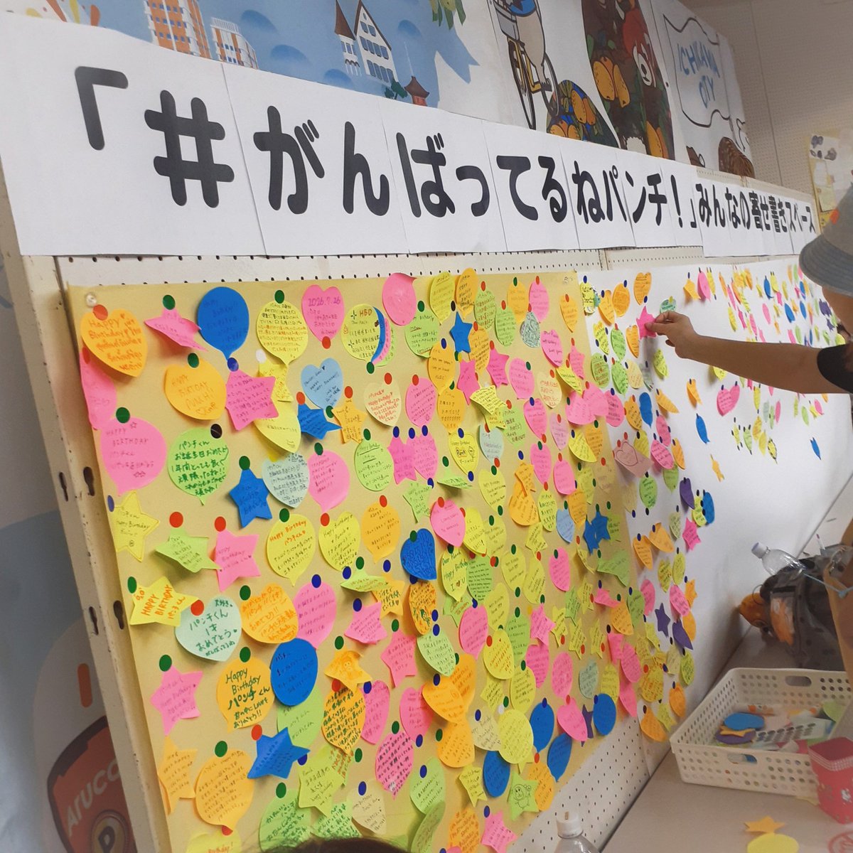星合花音（ HoshiAi Kanon ） tweet media