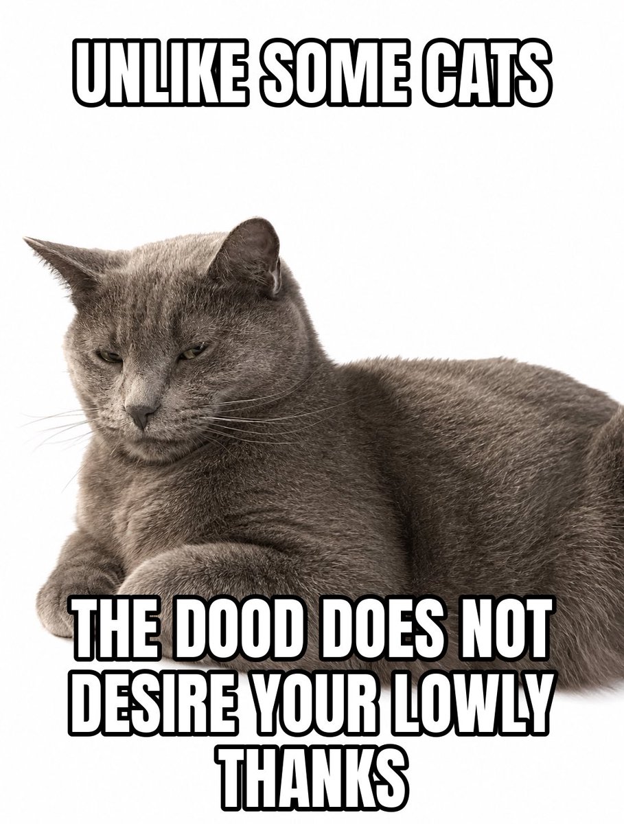 DoodDCat's tweet photo. You know who you are.
#TheDood https://t.co/8WH3tWnnzp