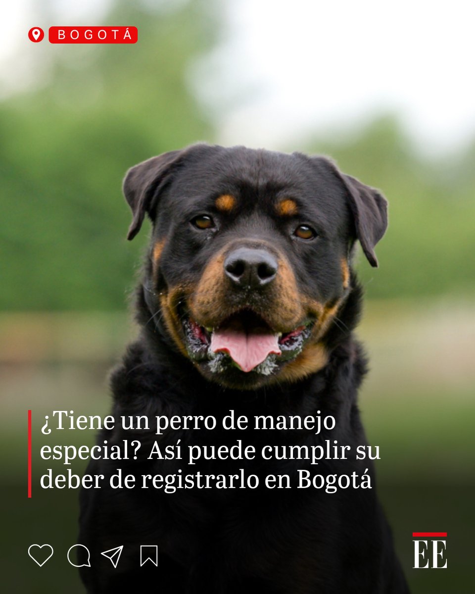 elespectador's tweet photo. El registro es de carácter obligatorio. 👉 https://t.co/AOhSKPZzxm https://t.co/PzZIpOcIA1