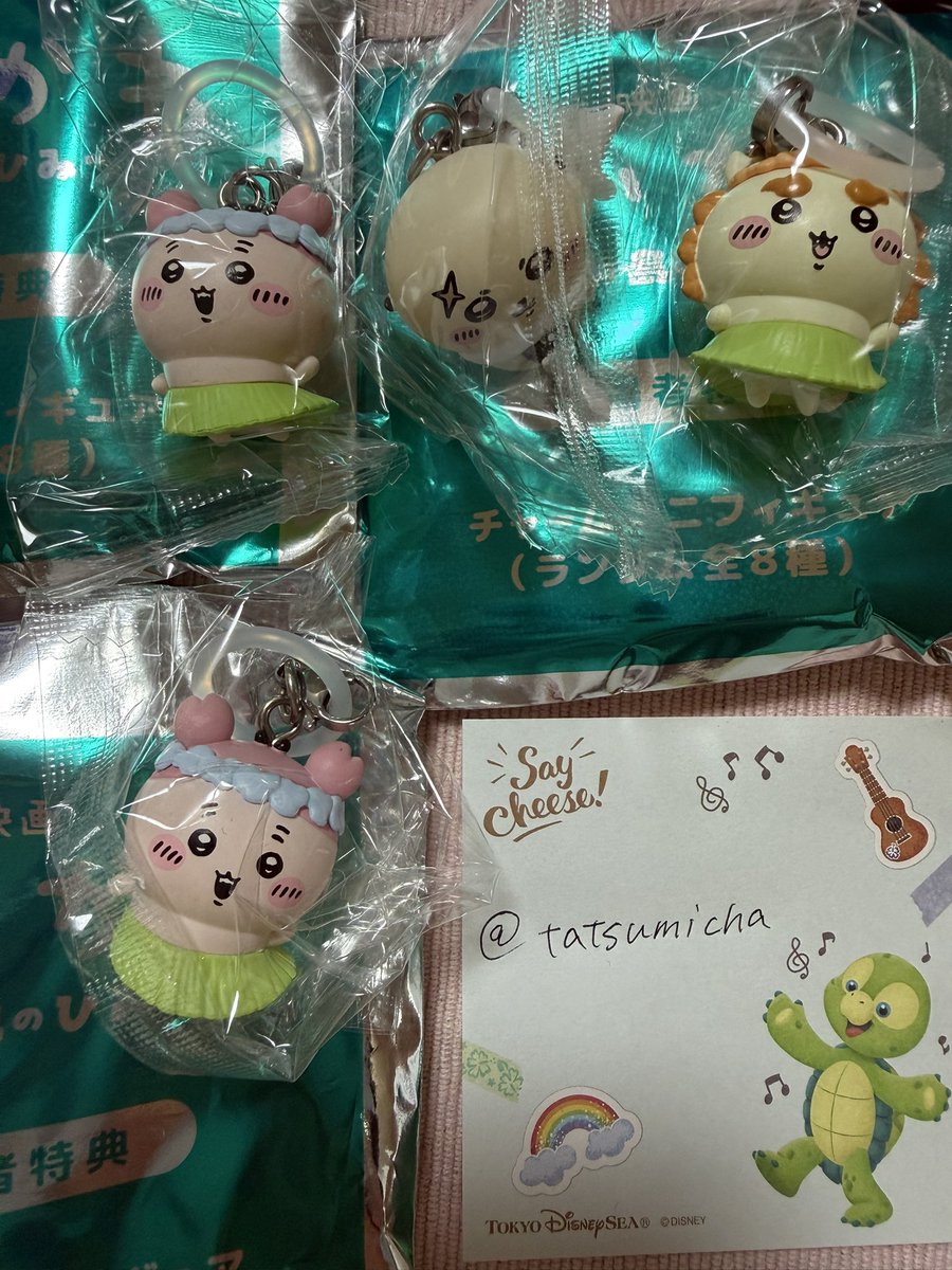tatsumicha's tweet photo. @__airachan__ @0 初めまして、こんばんは。検索よりお声掛け失礼いたします。ラッコ⇔ハチワレの交換を郵送にて可能でしょうか？ご検討よろしくお願いいたします。 https://t.co/2NJugPxibO
