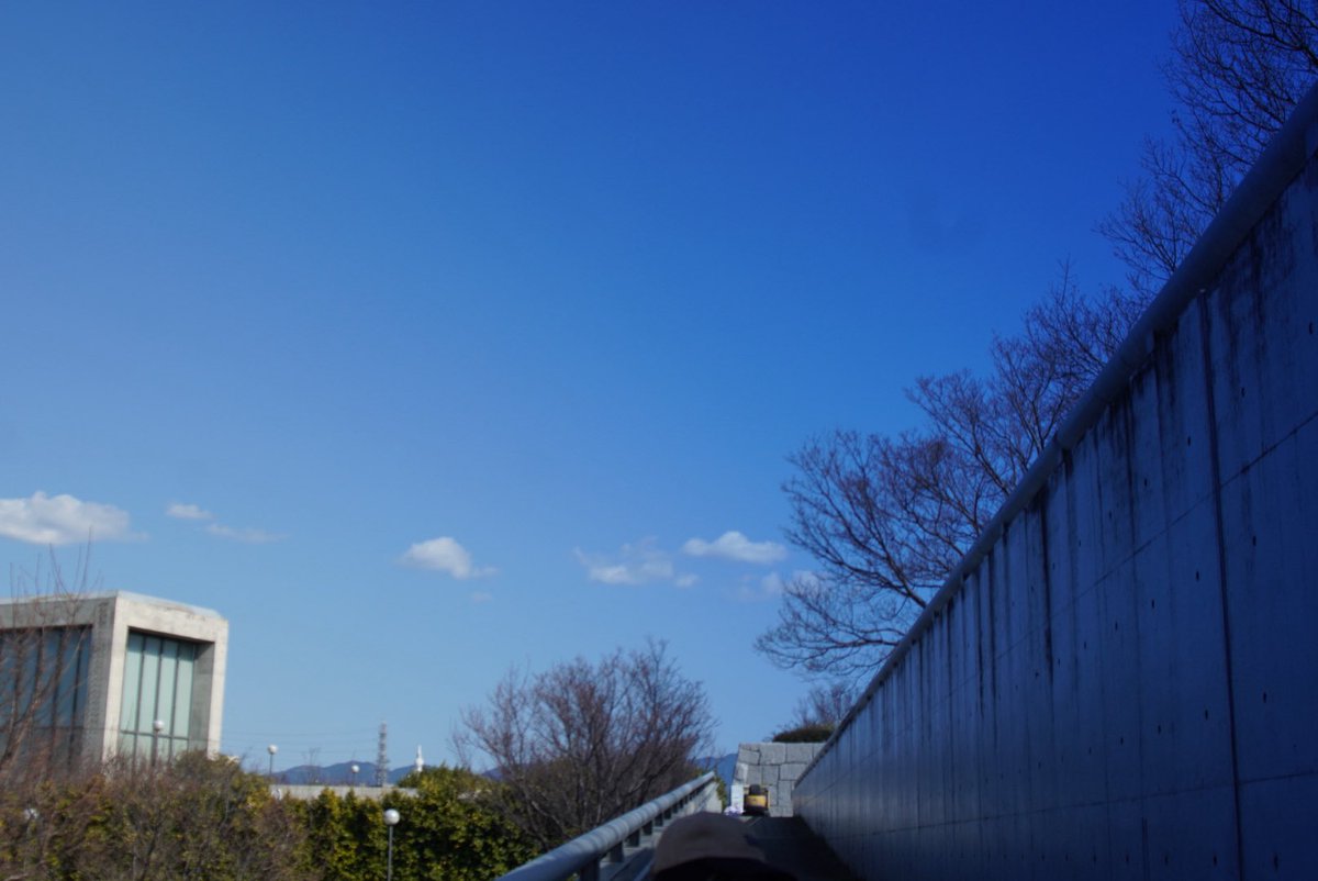 moppu0514's tweet photo. #カメラ好きと繋がりたい #写真好きと繋がりたい #いいねください #フォローほしいです #雲 #風景 #富士山

最近娘の寝かしつけで基本手を繋がんと寝んのよなぁ
可愛いから良いけども https://t.co/1d5mXOVaKH