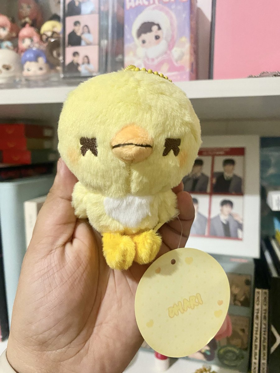 mybubbleosh's tweet photo. Ohari is finally home. Thank you so much @ubos_yaman 🐥🥹💕 https://t.co/xfUE6k3Wjs