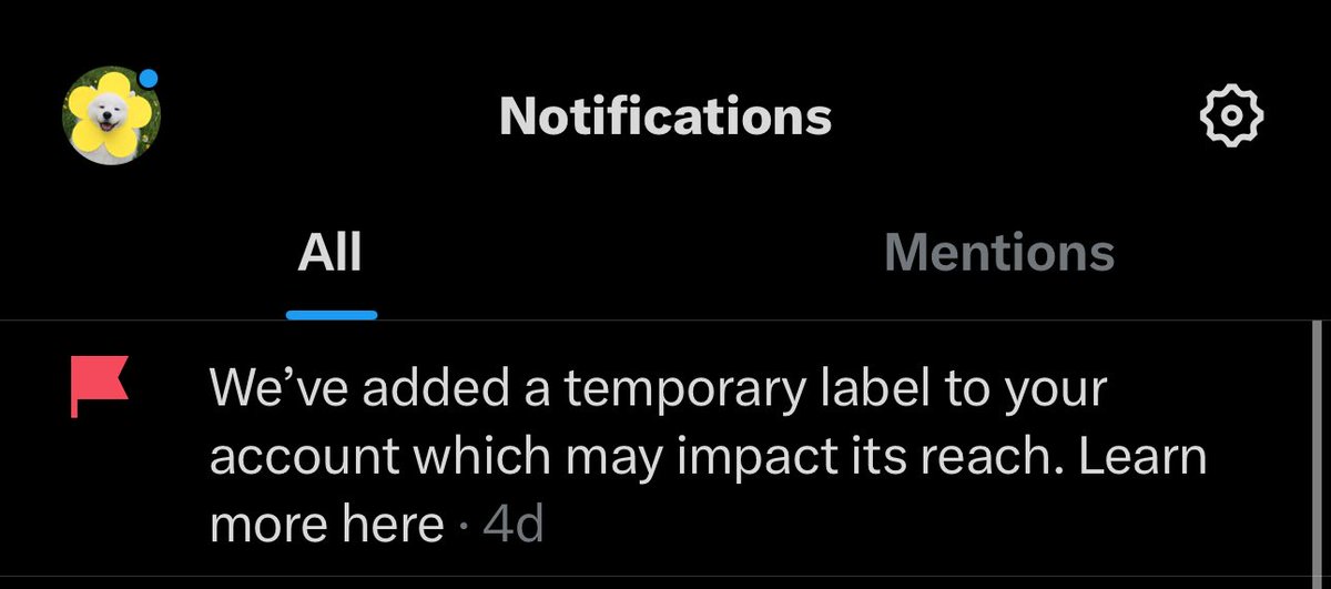 19971219SS's tweet photo. my account got temporary restricted 

please mt after dm 😭 thankyou! 🖤🖤 https://t.co/VAUGGmdVvi