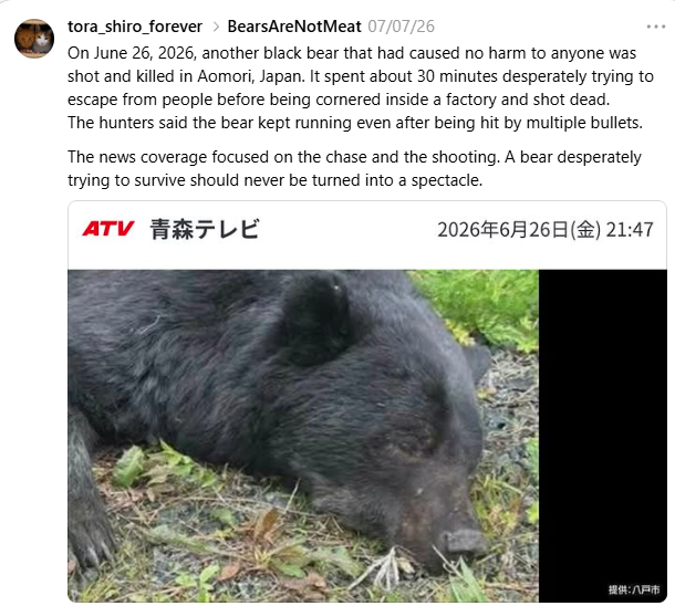 Poolon12's tweet photo. READ THIS IS SUPER VIRAL

https://t.co/mtfxqZONwY

6.5m views in just 3 hours??

A bear was trapped in Japan and killed causing a HUGE outrage on social media because the bear did nothing wrong

This is the image of the bear https://t.co/6DB4bJKgSC https://t.co/tj5f8qjabE