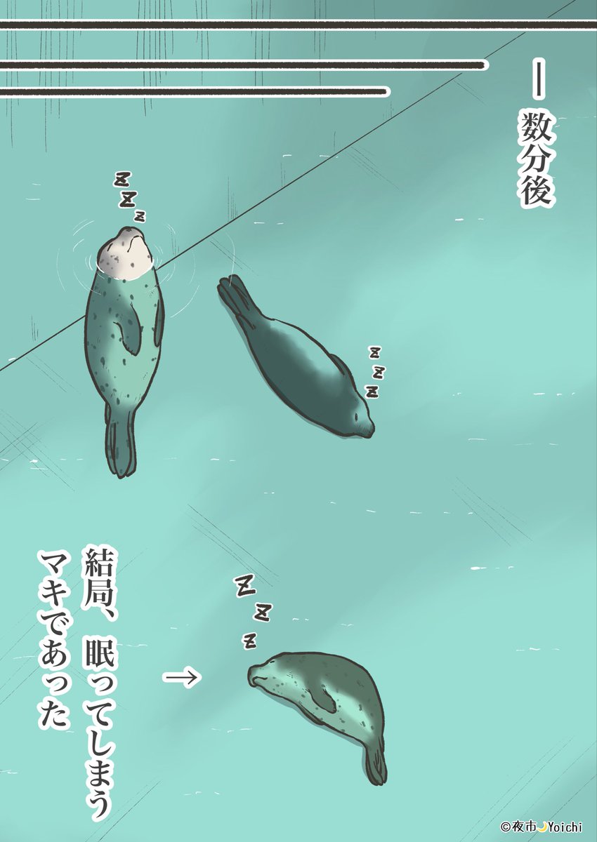 yoichi_yoi_yoi's tweet photo. Yokozuna、Maki、Shinkansenがまだフェーズ2にいた頃のある日の出来事🦭🦭🦭

#アザラシ幼稚園 #漫画 #seals https://t.co/zsrMtktXDy