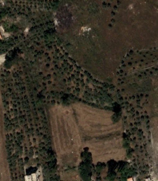 sahouraxo's tweet photo. Israel is stealing olive trees from South Lebanon.

The before and after of Israel ripping more than 600 olive trees from Lebanese land — many over 500 years old.

Trees older than most modern countries.

This is an act of ecocide. This is agricultural theft. 

An assault on heritage, identity, culture, history and a people’s bond with their land.