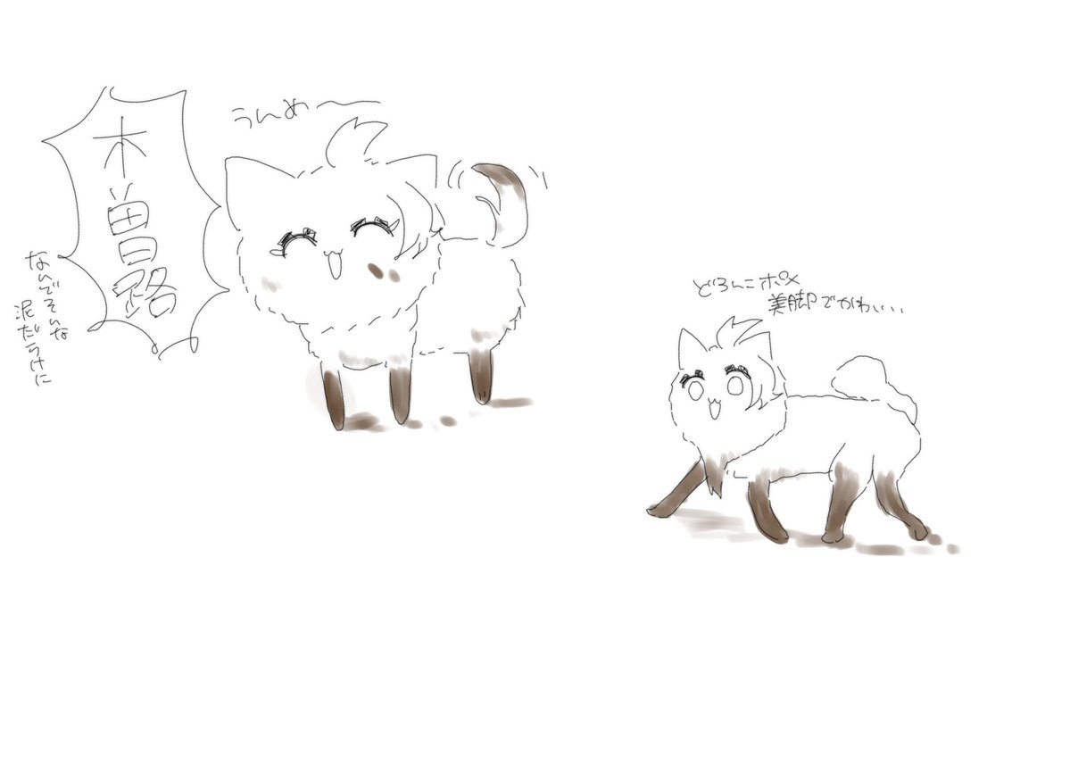 1gut1_'s tweet photo. ぽめそじ https://t.co/bOYao9mymm