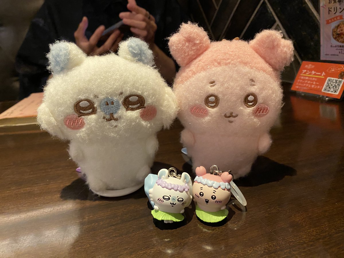 りょこ！ tweet media