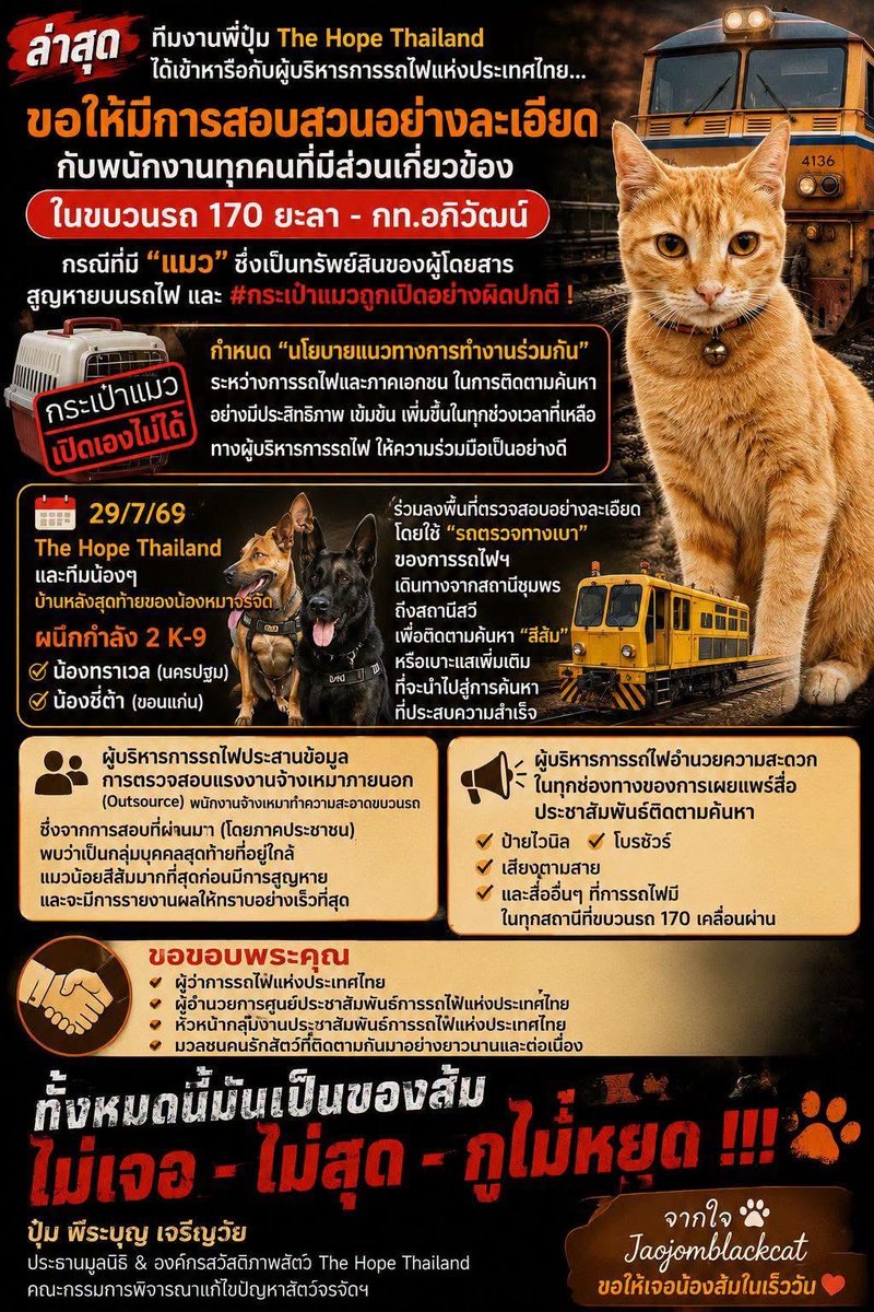 Supkdaob's tweet photo. อัพเดตภารกิจตามหาน้องสีส้ม #แมวหายบนรถไฟ ยังไม่พบน้องค่ะ แต่ไม่มีใครหยุดค้นหา
ยังคงตามหาต่อไป ความหวังเรายังไม่หมด และหวังว่าจะเจอน้องโดยเร็วนี้ หากมีเบาะแสเกี่ยวกับน้องสีส้ม🙏โปรดรีบแจ้งทีมค้นหาทันที ทุกข้อมูลที่ได้มาอาจเป็นกุญแจสำคัญที่พาน้องกลับบ้าน #สีส้ม รอกลับบ้านอยู่ค่ะ🥹
📌หากพบเห็นน้องแมวสีส้มพิการเพศเมีย หรือมีข้อมูลที่เป็นประโยชน์ โปรดติดต่อทีมค้นหาทันที
-พี่ปุ๋ม 096-865-9895
-พ่อเพชร 084-106-3940
ขอบคุณค่ะ🙏

Cr.Jaojomblackcat / Nimnoom CH