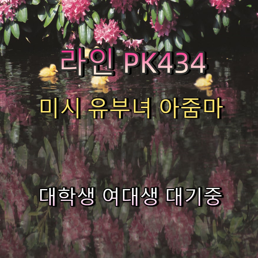 lexCabr1's tweet photo. #임실 #조건 #임실ㅈㄱ #임실오프 #일탈 🍙 https://t.co/XNgzausgHO