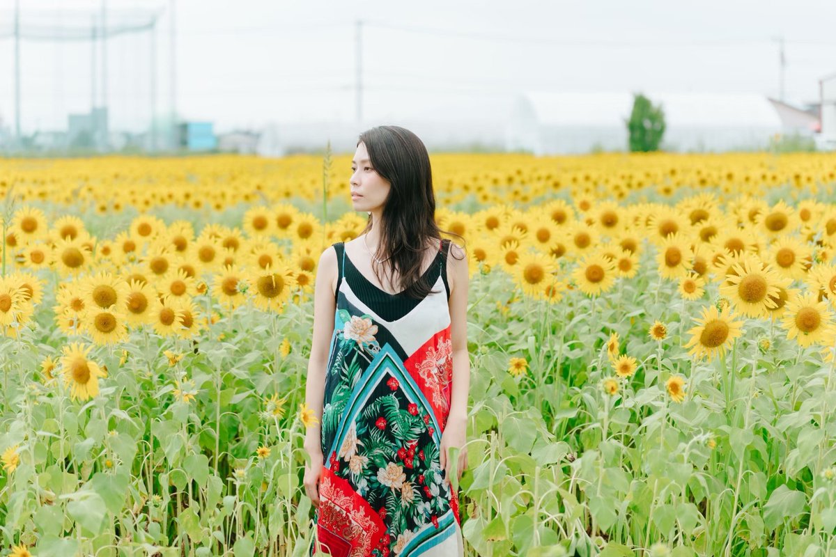 chika_s228's tweet photo. 毎日、���当に暑い…🌻 https://t.co/dzFHLpXkgX