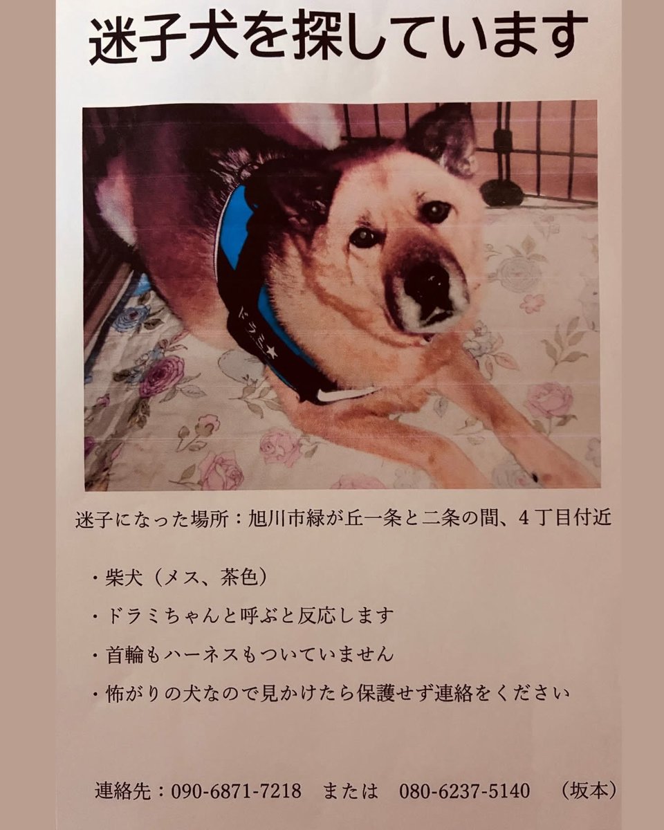 choco20050211's tweet photo. https://t.co/LSpE9Y9eCU