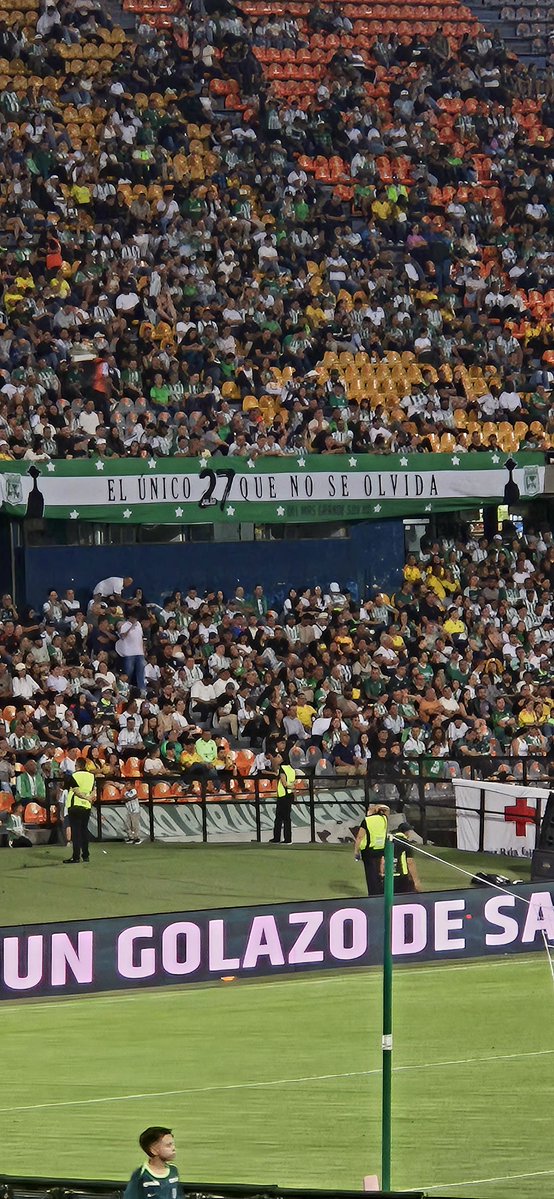 ANGIEJULIETHR19's tweet photo. El único 27 que no se olvida, Yo te vi salir campeón del continente 🏆💚 https://t.co/jwsQpnLs64