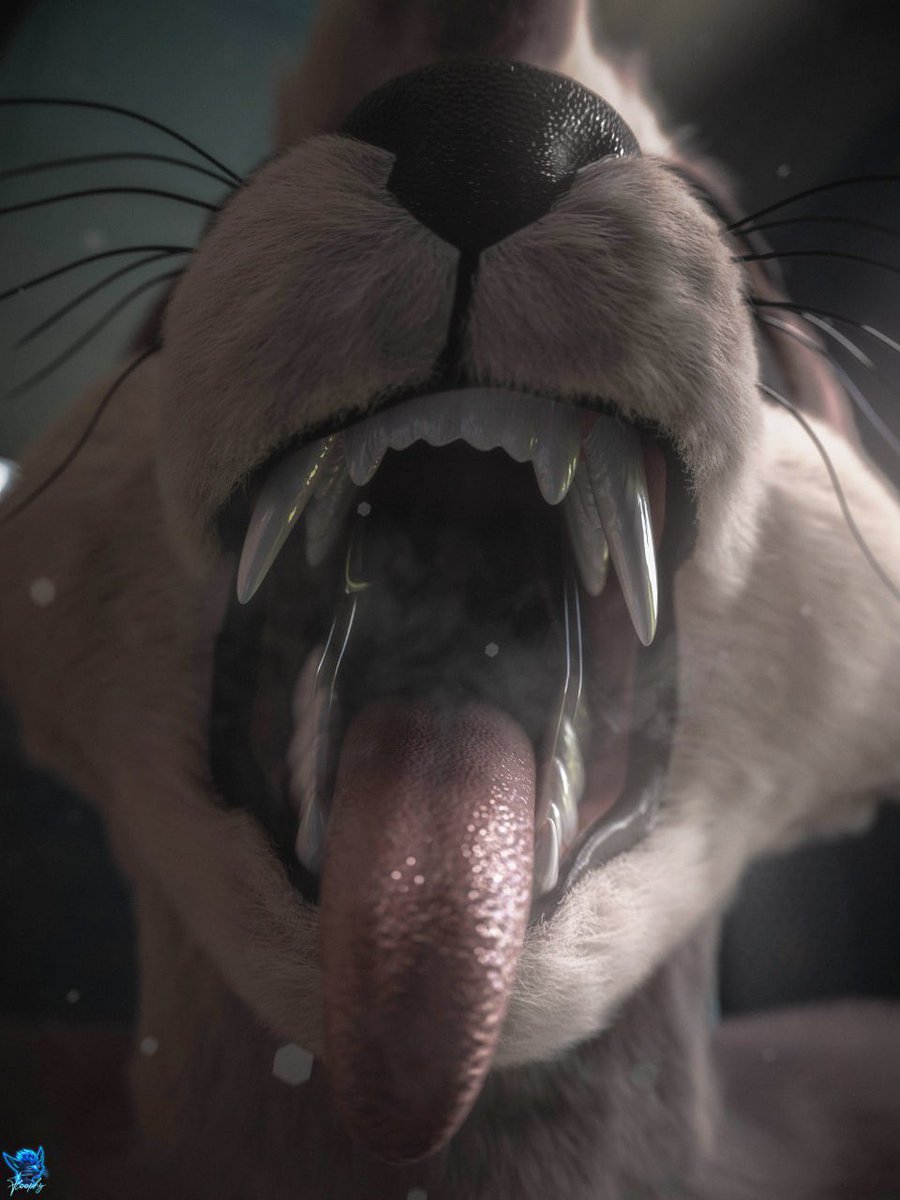 Floophythefluff's tweet photo. One bite away~
🐾: @_Katsumi_33 🩵🩵🩵 https://t.co/4wDootJ7Z8