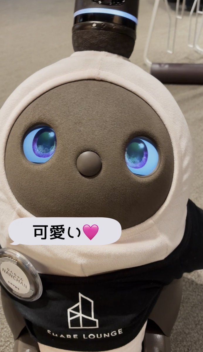 ポロンちゃん•*¨*•.¸♬︎ ぽろんママ🍏 (@lovot_moguodebu) / Posts / X