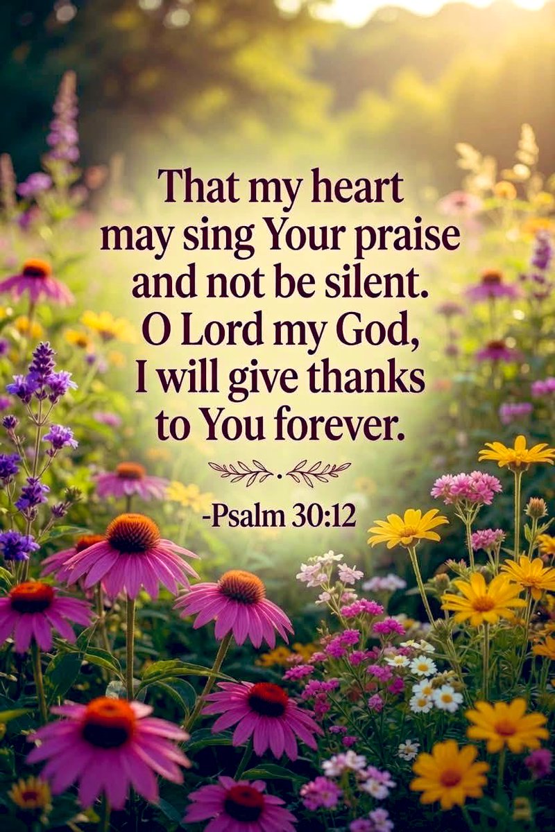 sprec61551's tweet photo. Psalm 30:12
To the end that my glory may sing praise to Thee, and not be silent. O Lord my God, I will give thanks unto Thee for ever. https://t.co/j6fJwrByQp