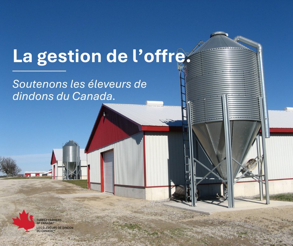 TurkeyFarmersCa's tweet photo. Lorsque les Canadiens choisissent le dindon, la gestion de l’offre aide les éleveurs à répondre à la demande tout en assurant un marché stable. Cette stabilité favorise les investissements, la planification à long terme et la production de dindon canadien de qualité. https://t.co/yh6L3cOmjt