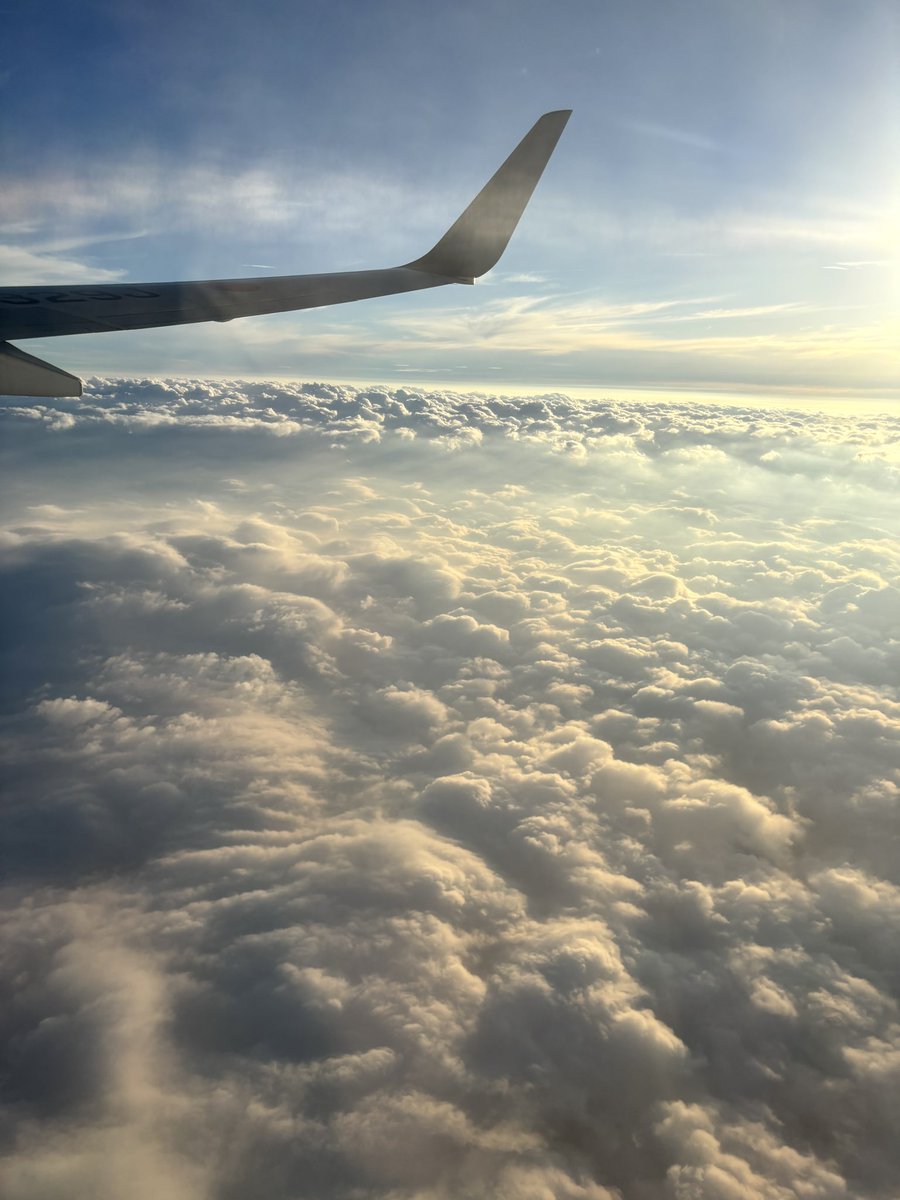 _sai_o's tweet photo. 雲海︎︎☁ https://t.co/EkwBRHEWzN