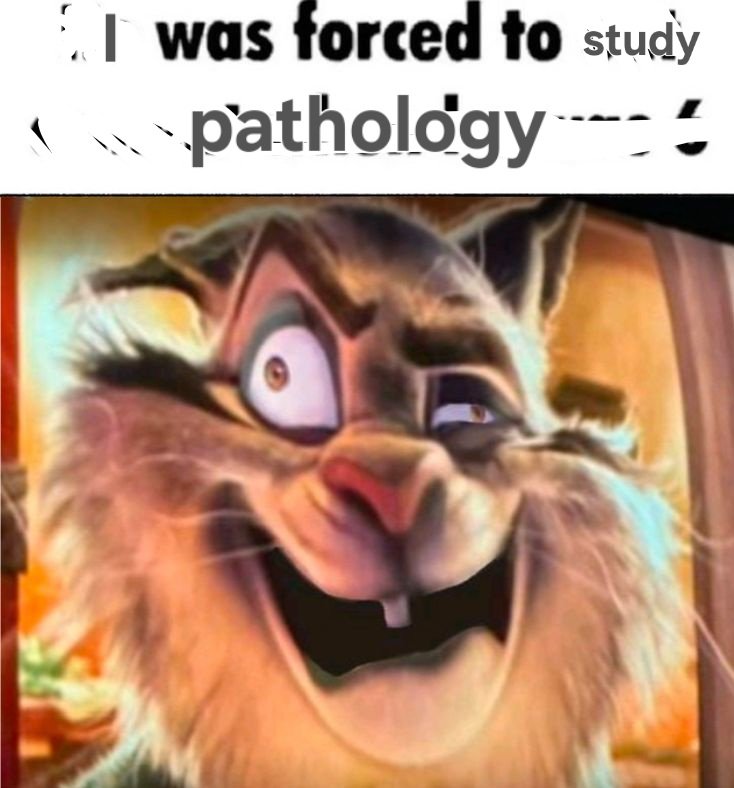 KUNTER_VERSACHE's tweet photo. Hi guys if were you wondering (no one is wondering) why im so inactive its cuz ive got exams coming so im locking in💔
I hope i can draw more and finish the pawbet fanfic when my holidays come
Fuck pathology and pharmacology🥀 https://t.co/NIYeHOTL4l