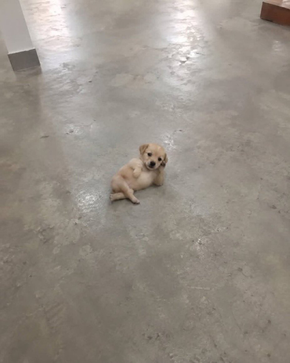 빡콩 tweet media