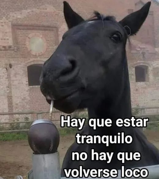 user_nuria's tweet photo. https://t.co/px95Js2C5D