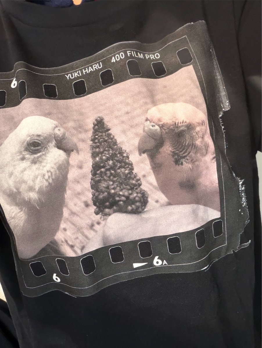 kikkichanmarch's tweet photo. 今日はユキハルTで出勤しました🏃‍♂️
いつも弱気なへなちょこ飼い主も
2人の喝が聞こえるようで
前向きな気持ちになれる
魔法のTシャツ❄️🌼 https://t.co/T0oi2hB165
