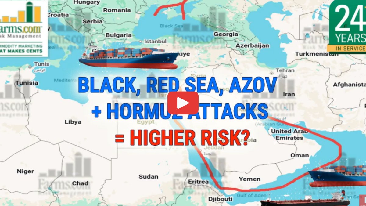 FarmsPrairies's tweet photo. Escalation aftermath...

The rise in the Ukraine/Russian war after 4 years + the escalation with Iran &amp; now the Houthi’s blocking Saudi oil in the Red Sea has crude surging 40% in 2-weeks to ration demand.

Watch the full podcast for all market reactions ⤵️

#CommodityMarketing