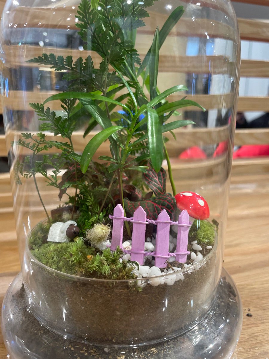 IA2xOouvo3msX9h's tweet photo. Just finished this cute upcycled mason jar succulent planter! No fancy supplies needed—just an old jar, some soil, and tiny succulents. Perfect little weekend DIY win https://t.co/vaDcAiw9fb
