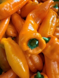 StJPiccadilly's tweet photo. 🍽️ Oscar's Food for Thought

Oscar's in the FEAST kitchen tonight, turning rescued ingredients from @CityHarvest_Ldn into something delicious.

Today's challenge:
🫑 Peppers
🥒 Cucumber
🧅 Spring onions
🥬 Cabbage
🍅 Cherry tomatoes
🌿 Coriander

What would you make? 👇 https://t.co/FrPerO5lUd