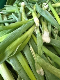 StJPiccadilly's tweet photo. 🍽️ Oscar's Food for Thought

Oscar's in the FEAST kitchen tonight, turning rescued ingredients from @CityHarvest_Ldn into something delicious.

Today's challenge:
🫑 Peppers
🥒 Cucumber
🧅 Spring onions
🥬 Cabbage
🍅 Cherry tomatoes
🌿 Coriander

What would you make? 👇 https://t.co/FrPerO5lUd
