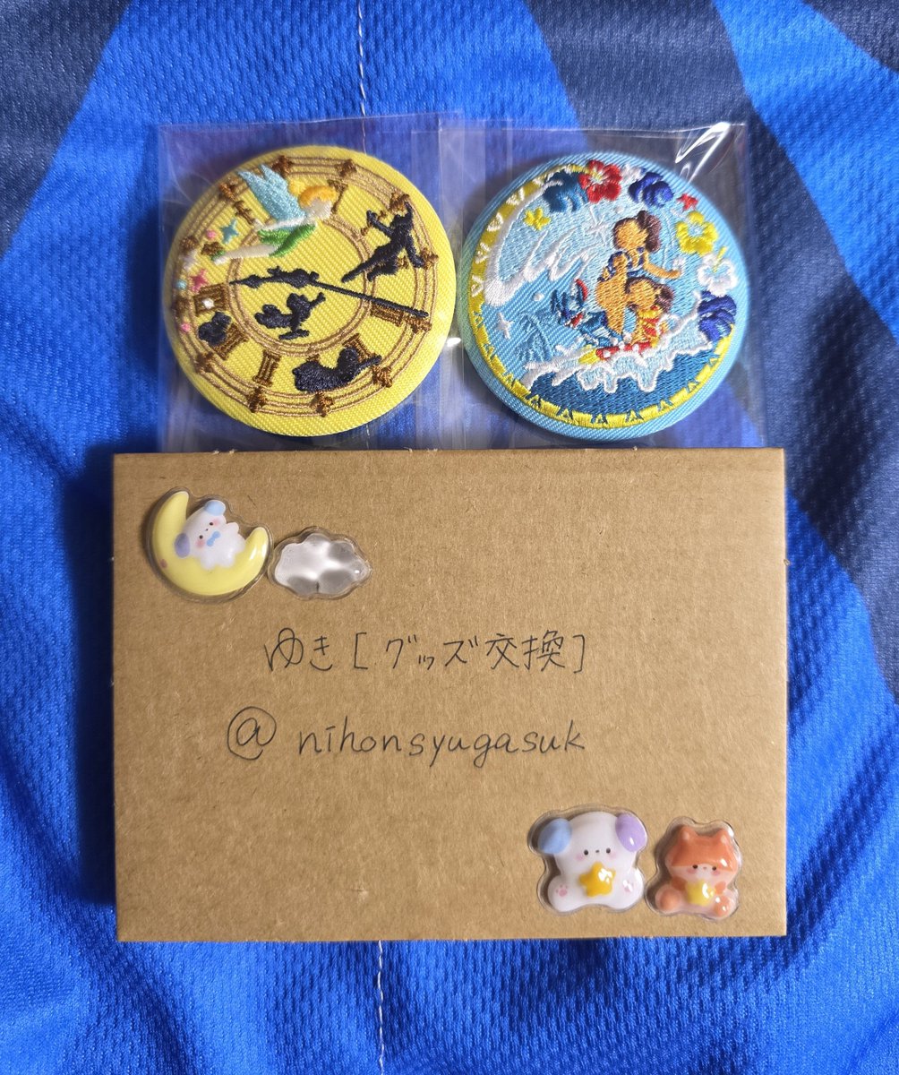 nihonsyugasuk's tweet photo. @ao_disney 画像を忘れてしまったので再度失礼します。 https://t.co/CB84ulXppQ