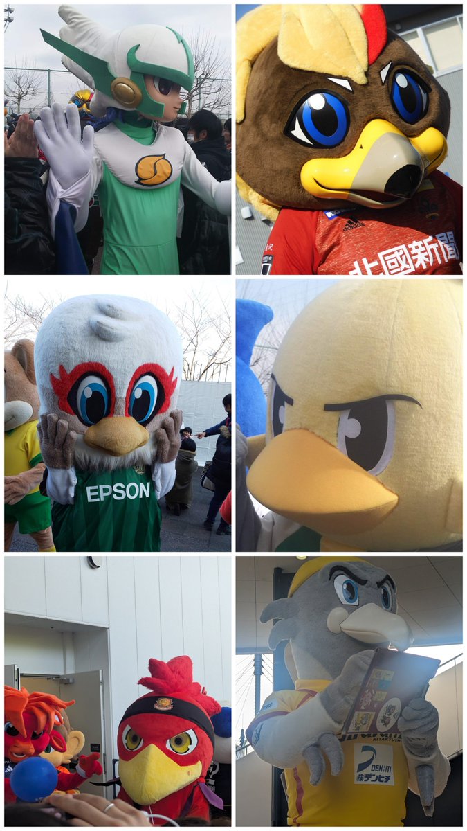 y27ae3b9ec782p_'s tweet photo. #はばたけ鳥マスコットの会
今シーズン対戦相手になる鳥マスコットたち🦅
レノ丸をよろしくね♫
ご都合が合えばみらスタに来てね♫
#ガイナマン
#ゲンゾー
#ガンズくん
#ガミティ
#福嶋火之助
#ギラン さん https://t.co/C1KdQaB25R