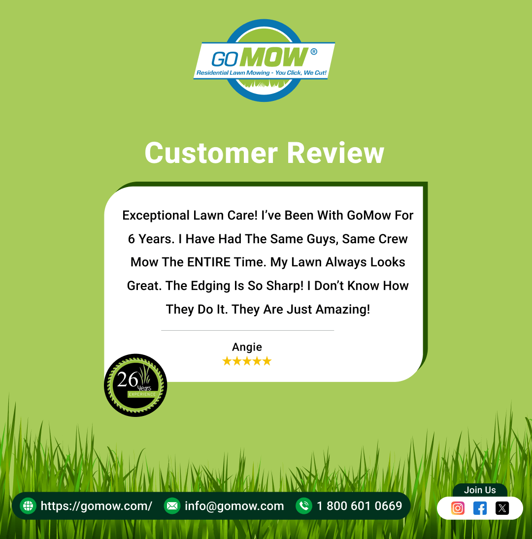 GoMowOfficial's tweet photo. Another Happy GoMow Customer! ⭐⭐⭐⭐⭐

Thank you for trusting GoMow with your lawn care. We're proud to provide reliable lawn mowing, edging, weed eating, and blowing services across Texas.
https://t.co/zg5Z3aVbYJ

🎁 Refer a friend &amp; get rewarded!
#GoMow #CustomerReview https://t.co/th7FDWnojA