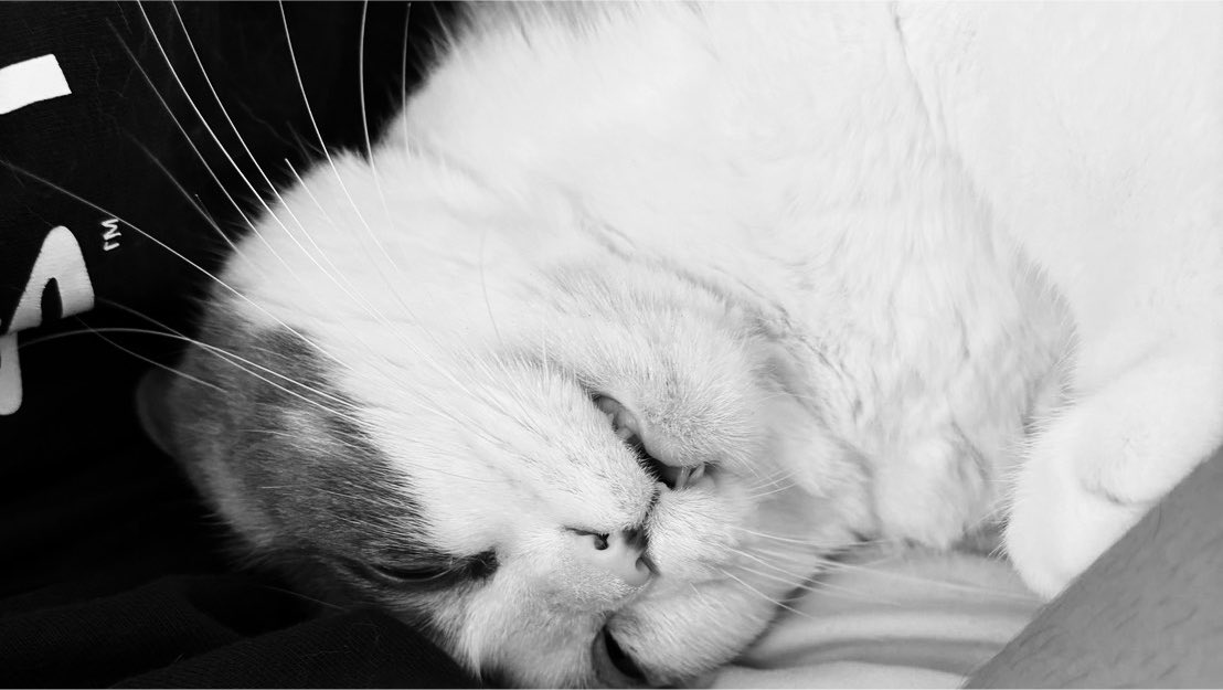 nano2mass's tweet photo. 事故 https://t.co/YgMoPs5Kis