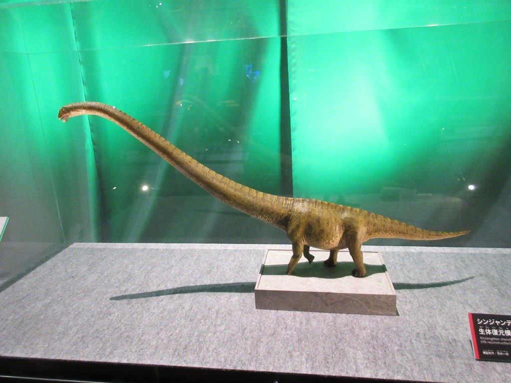 araki_kazuyan's tweet photo. 教室前に特別展「竜脚類」を見学。
詳細なレポートはいろんな方がポストすると思うので、手前みそながら、今回制作した模型の画像をば😊
シンジャンティタンの生体と産出模型。
そのほかにもたくさん制作した竜脚類模型が展示されていましたので、教室前にめちゃテンション上がりました(笑) https://t.co/3xCc3QYMhZ