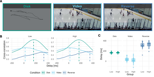 ARVOJOV's tweet photo. Anna-Chiara Schaub et al. share their findings on Preserved Contextual Modulation of Eye Movements in Psychosis Prone Individuals, https://t.co/jYVtIsjXcR. https://t.co/EswgF5UJcg