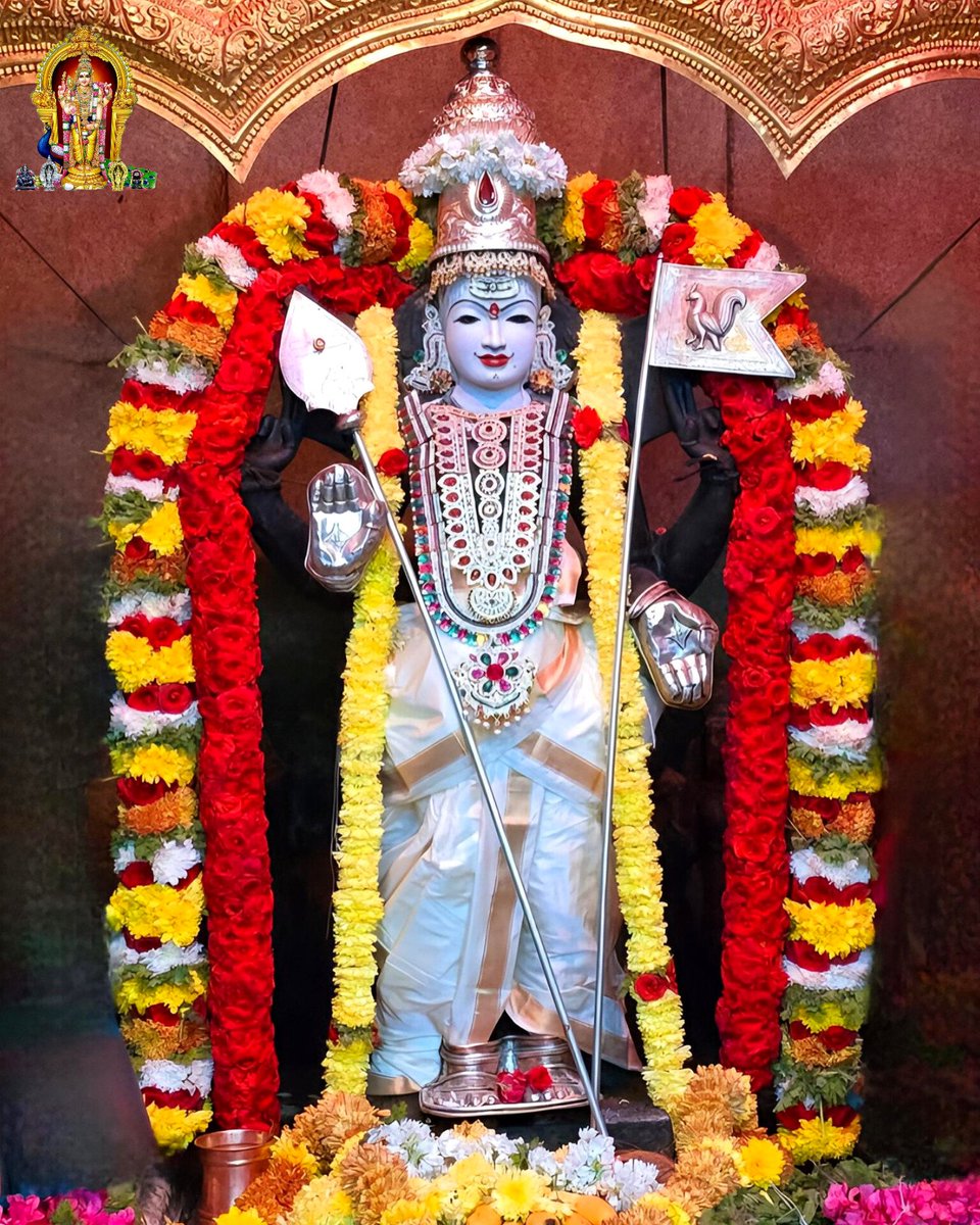 ChendurMuruga's tweet photo. கருணையே வடிவமான கந்தசாமி தெய்வமே உன் கழலடியைக் காட்டி என்னை ஆளுவாய் கந்தனே
நெற்றியிலே நீறணிந்து நெறியாக உனை நினைந்து பற்றினேன் உள்ளமதில் உன்னடி முருகா
வேலவனே என்று பாடி வேண்டிடும் அடியவர்க்கு வேண்டும் வரம் தந்திடுவான் பாருமே முருகா!

#முருகாசரணம் 🐓🦚
#MurugaSaranam
#मुरुगा_चरणों https://t.co/YWXNdohPfA