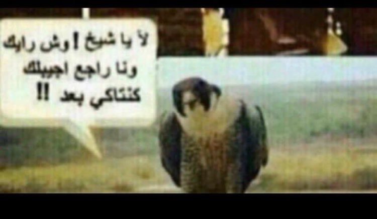 7bood_'s tweet photo. @imov_1 @ue_shm @OptaAnalyst https://t.co/piwqRkihLf