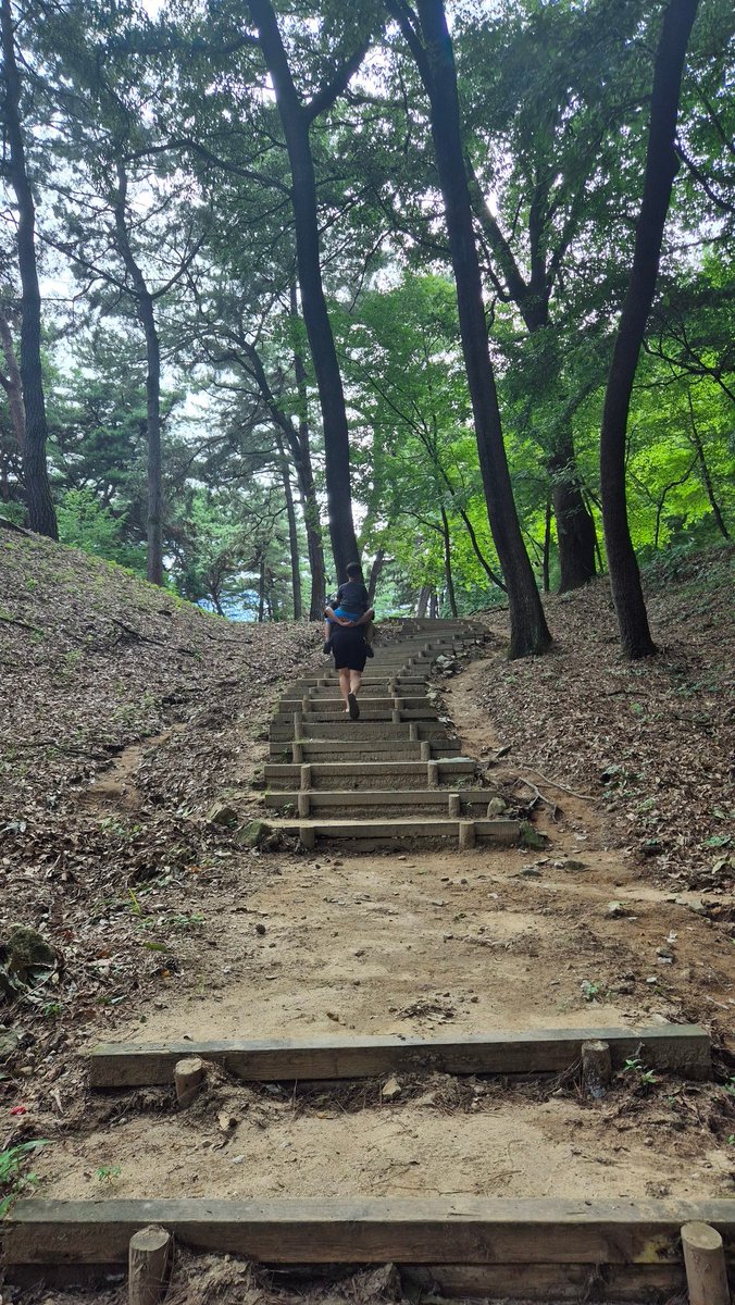 yeppengrim's tweet photo. 열이 났지만 부여 고란사까지 오른 우리. 여름 숲 속의 매미 울음와 녹음이 참 시원했다. 폭풍 더위 속에서 한낮의 산책이 휴식같았다. 백마강에서 처음탄 서동호 위의 풍광은 온화하고 친근해 아름다웠다. 신나는 여름방학 https://t.co/UBep24WDy2