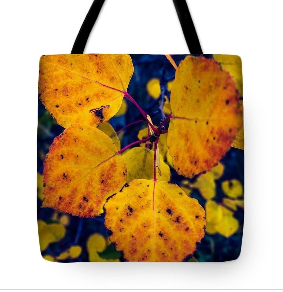 erinmdorffette's tweet photo. Amazing fall colors captured at their peak, ready to brighten your home with wall art, pillows, totes and more!

Shop now → https://t.co/Vfbu4UzMNx

#FallColors #Autumn #LeafPeeping #WallArt #HomeDecor #Pillows #ToteBags https://t.co/8ROWj2qBvF